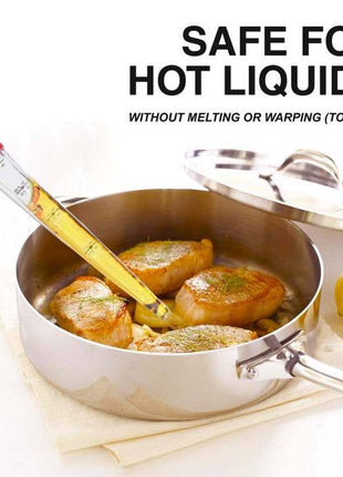 HIC Kitchen Roasting Stand-Up Turkey Baster