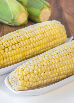 Fox Run Corn on the Cob Dish, Set of 2, 3" x 8.5"