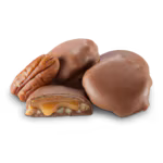 Turtles - Milk Chocolate Mini Pecan Caramel Patties