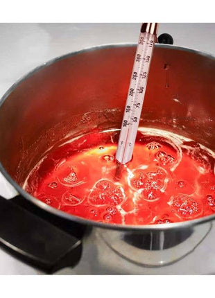 HIC Candy and Deep Fry Thermometer