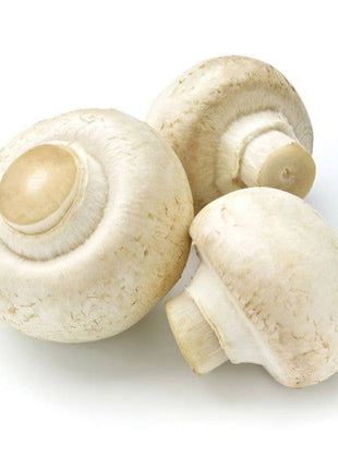 HIC Kitchen Brush, Mushroom