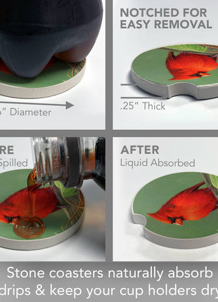 Rail Birds Single Absorbent Stone Car Coaster