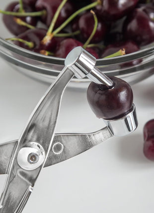 Fox Run Cherry and Olive Pitter