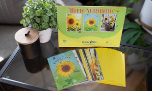 Hello Sunshine! - Greeting Card Assortment