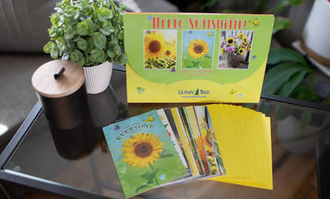 Hello Sunshine! - Greeting Card Assortment