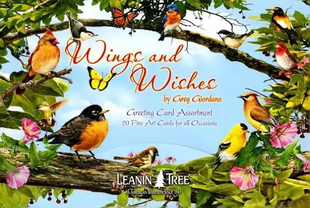 Wings And Wishes - Greeting Card Assortment
