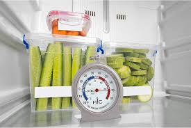 HIC Kitchen Roasting Refrigerator Freezer Thermometer, Large 2.5-Inch Easy-Read Face with Temperature Guide, Stainless Steel