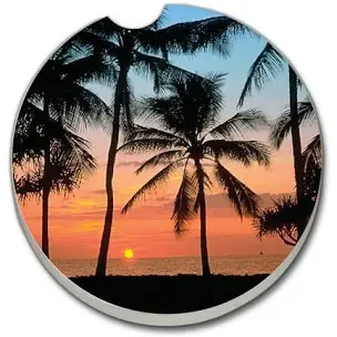 Ceramic Car Coasters - Palms