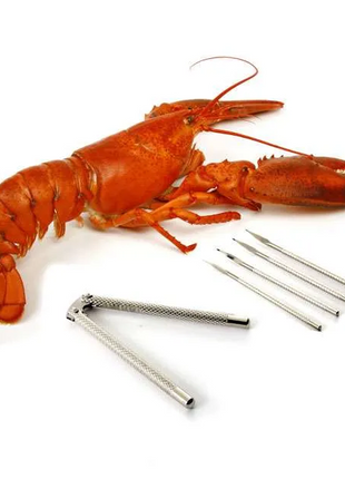 SHELLFISH / NUT CRACKER WITH 4 PICKS