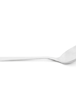 11.75" STAINLESS STEEL BASTING SPOON