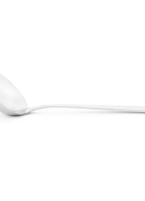 STAINLESS STEEL LADLE
