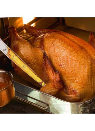 HIC Kitchen Roasting Stand-Up Turkey Baster