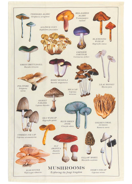 Mushrooms Fine Print Dishtowel